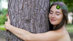 Лес шепчет мне. Песня раскрывающая вечный шепот леса.