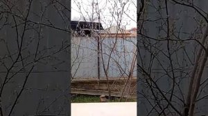 Заходите поговорим