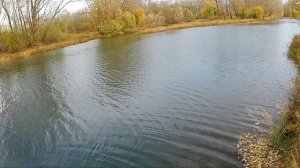 Покидушки мормышек на спиннинге Vivid 2.10м 24.09.25