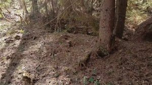 "Вот, не любишь, говоришь..." /авторская песня/