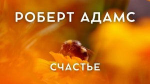 Окончательное счастье — вне времени. Роберт Адамс