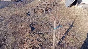 2 апреля, Сибирь, плюс 1.Обзор огорода после зимы.