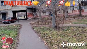 💃🔥МИЛИОНЩИКИ НИШАБРОДЫ,АМБИЦИИ 💃🔥МОИ БУДНИ💃🔥