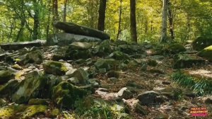 Посещение дольмена в Лазаревском районе Сочи