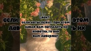 ФАКТ!
извини мне просто снимать было нечего^^