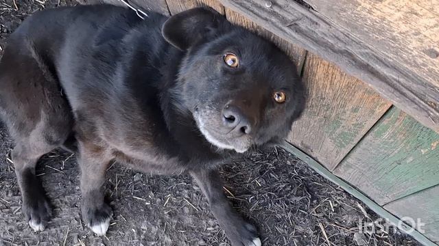 ШУРПЫ НАВАРИЛА/ОЗЕРО СЛЁЗ И КОЛОДЕЦ НАКАЗАНИЙ