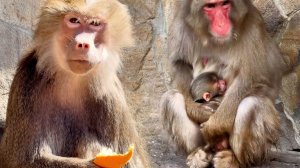 Злая, жадная, отвратительная мать, забирала еду у собственного дитя! Так думают о Лиде ДО СИХ ПОР!