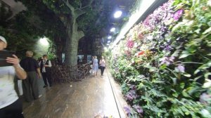 ОКЕАНАРИУМ во Владивостоке