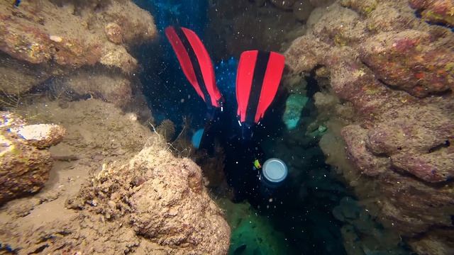 Dahab Fish Bowl 2026