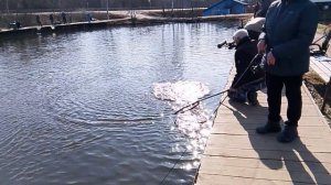 Фореливая рыбалка на 1-м Вип водоёме РК "Фишка Петряиха"