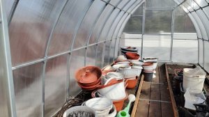 Посадила в теплицу на зелень лук и укроп! Мой первый опыт🙂