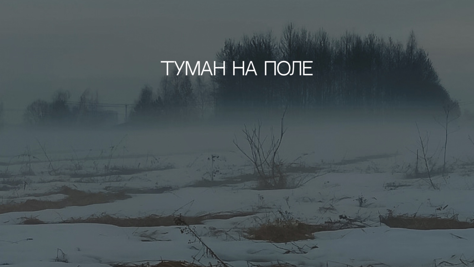 Туман на поле