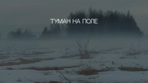 Туман на поле