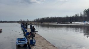 Запуск форы !!!