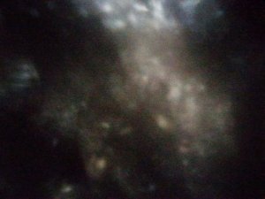 занятие по русскому языку