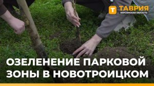 В Новотроицком в рамках акций по озеленению парковой зоны высадили 110 деревьев