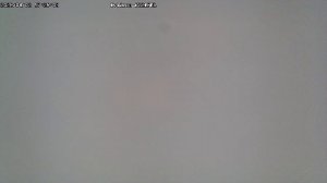 LIVE: channel43489494