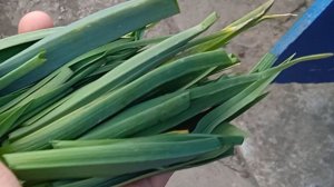 Следующий этап