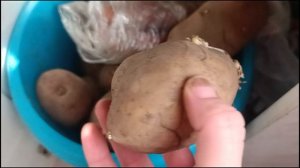 Миф или реальность?