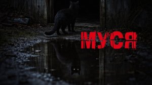 Муся. ЖЕСТЬ. Страшные истории. Страшилки на ночь. Авторская история.