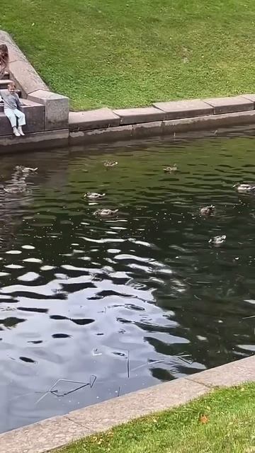 Красота Петергофа  #петергоф #петербург #путешествия #трэвел #тревел #travel #тревелвлог