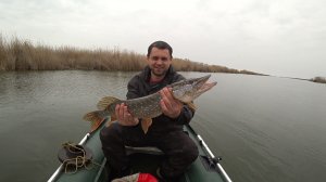 Дикий клёв щуки.О таком клёве можно только мечтать🔥🔥🔥🔥🔥Этот воблер сделал всю рыбалку.