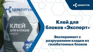 Эксперимент - разбиваем стену из блоков, тестируем клей ЭКСПЕРТ