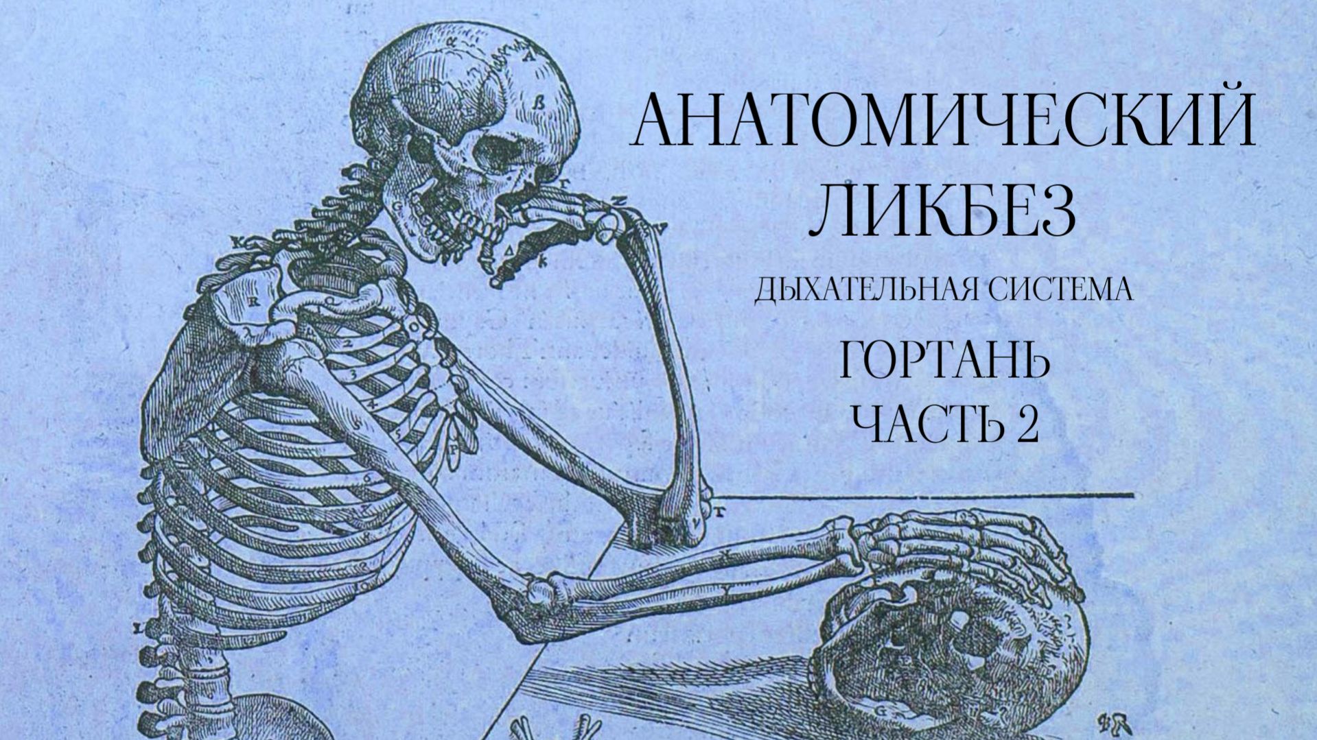 Анатомический ликбез - Дыхательная система. Гортань. Часть 2