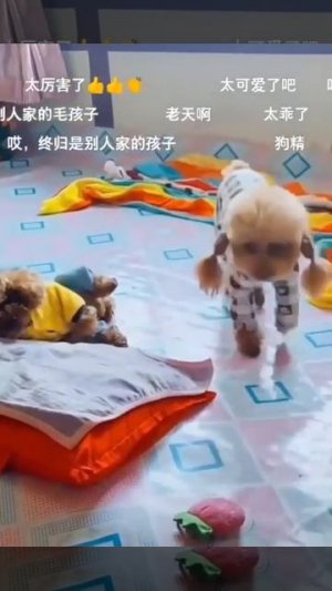 Готовимся ко сну😊))