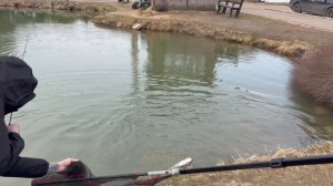 поимка форели на спиннинг