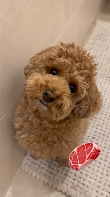 Готовимся к пасхе 🍯🥚