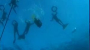 Юлия Петрик о фридайвинге (интервью 2004)