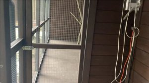 Как пережил зиму новый бельчатник.Ну и чуть про белок.