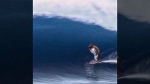 Лови волну. Я как Чак Норис