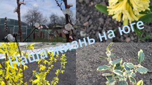 31.03-1.04/Живём и работаем на Кубани/20 лет совместной жизни🤗/ Высадили томаты/Готовлю/Наша жизнь/