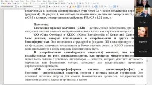 Особенности ДИИ и коротких волн, их разница свойств воздействия на объект. Вебинар от 02.04.2026 г.