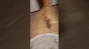 Когда заснул в 19:00