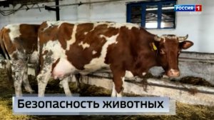 Основные цели маркировки сельскохозяйственных животных