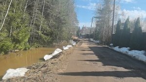 Гуляем по СНТ. Затопленные участки. Прогулка с собачками. #модницаогородница #снт #жизньвснт