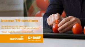 Сливовидные томаты типа Intense, уникальный продукт селекции Nunhems