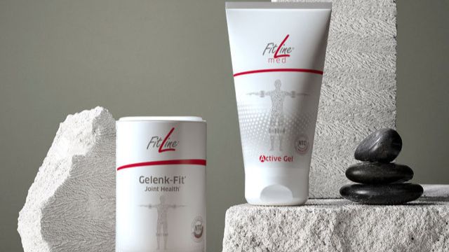 FitLine Gelenk-Set (Gelenk-Fit & Active-Gel). Академия по питанию. Костина Г.Н. смотреть онлайн