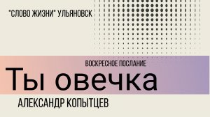 Ты овечка  / Александр Копытцев