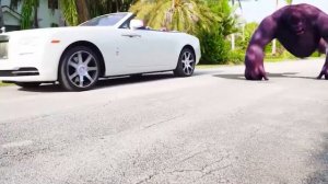 Весёлый кемпинг в палатке — удивительные приключения!