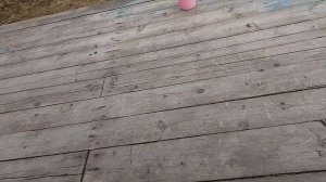 прогулка.- утро.🥥часть.-2