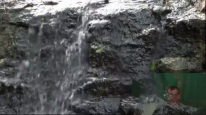 Матрица Гаряева Исцеление Нервов и Глубокого Психического Изменения