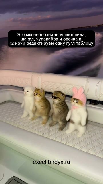 Коллеги ну мы 😆 #смешноевидео #гуглтаблицы #юмор