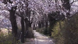 Секреты Полнолуния 2 апреля. Начинаем новую жизнь.