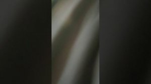 играю в дэйз в майнкрафте