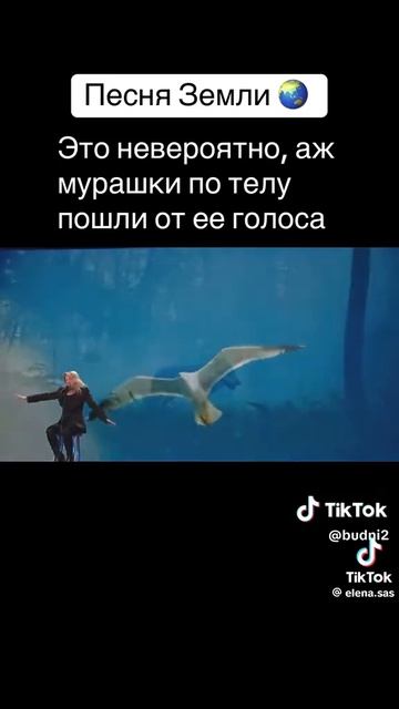 звуки Земли