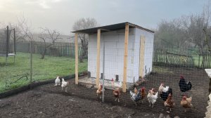 Курятник из газоблока своими руками: от фундамента до крыши.